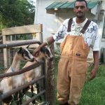 A man in overalls standing next to goats.